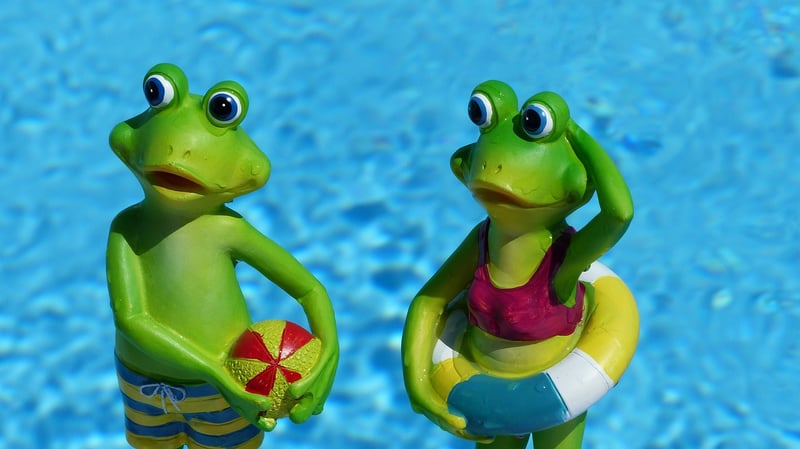 Swim Zen