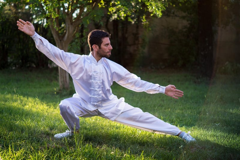 Tai Chi Techniques