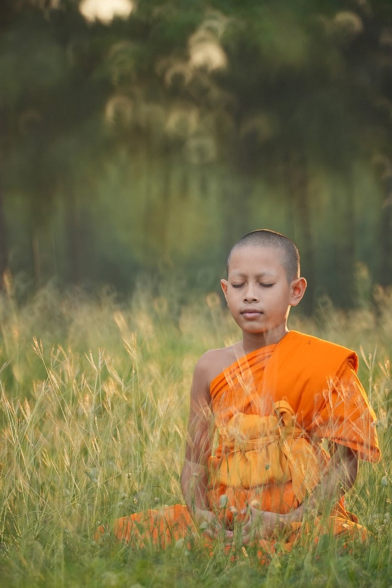 Qi Gong Flow Image